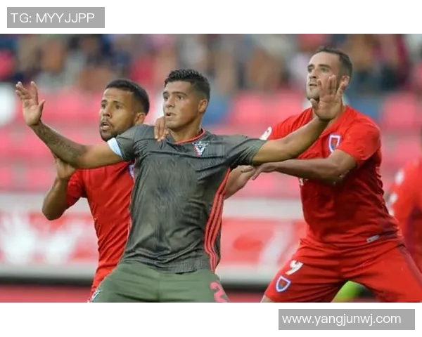 南京足球队在世界杯预选赛中以81分高居积分榜首位展现强劲实力