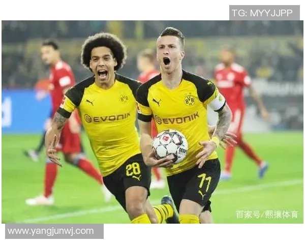 城市联赛最新积分榜北京排球队以73分稳居第一名