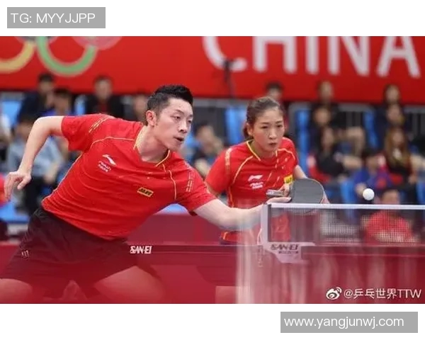 武汉乒乓球队与深圳乒乓球队速度较量的深度分析与复盘 武汉乒乓球队与深圳乒乓球队速度较量的深度分析与复盘