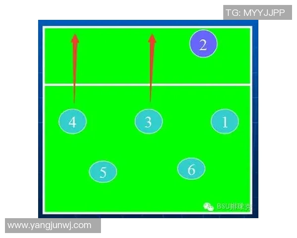 深圳排球队防守战术深度解析与实战应用探讨